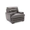 Picture of Salerno 100% Leather Chair