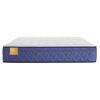 Picture of Beaumont Euro Top Plush Mattress by Sealy
