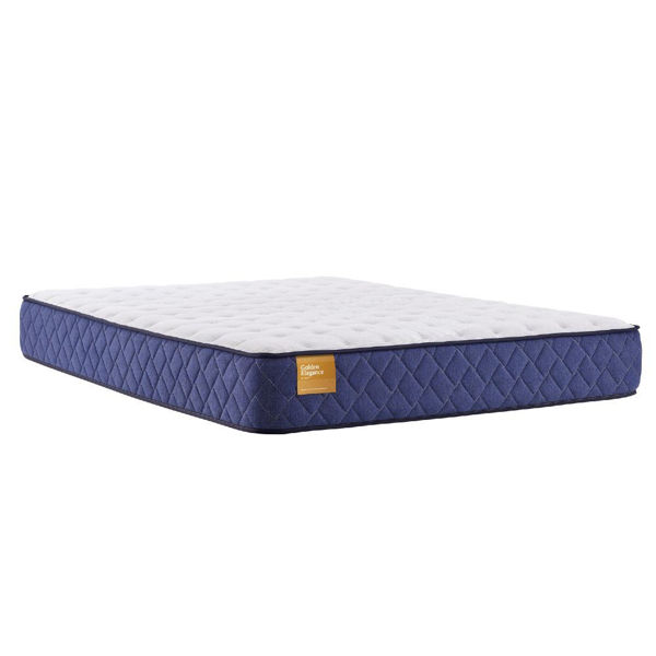 Picture of Beaumont Cushion Firm Mattress by Sealy