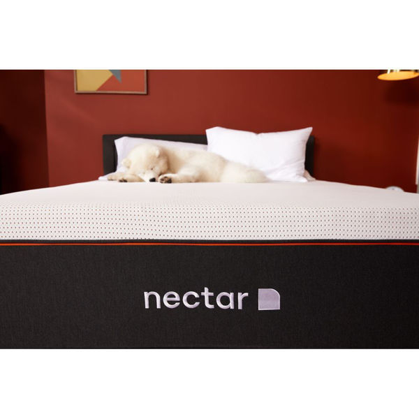 california king nectar mattress california king nectar mattress
