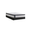 Picture of Diggins Medium Euro Pillow Top Mattress by Sealy