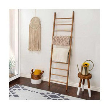 Picture for category Accent Ladders