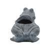 Picture of Resin 8" Frog Planter - Black