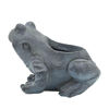 Picture of Resin 8" Frog Planter - Black