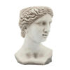 Picture of Head 11" Lady Resin Planter - Antique White