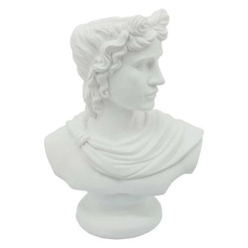 Picture of David Bust 20" Resin Planter - White