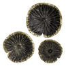 Picture of Lotus 10" Wall Decor - Black
