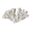 Picture of Coral 7" Polyresin Decor - White
