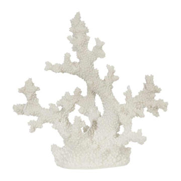 Picture of Coral 10" Polyresin Decor - White