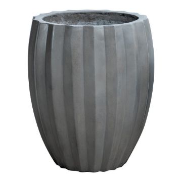 Picture of Starfruit Medium Concrete Planter