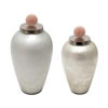 Picture of Glass Vase 17" with Blush Knob - Silver