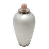 Picture of Glass Vase 21" with Blush Knob - Silver