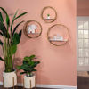 Picture of Metal Round Wall Shelves - Set of 3 - White and Go