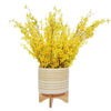 Picture of Ceramic 11" Planter on Stand with Dots - Yellow