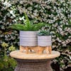 Picture of Ceramic 8" Planter on Stand - Gray