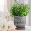 Picture of Tribal Pattern 5" Planter with Saucer - Gray