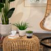 Picture of Ceramic 5" Planter with Saucer - Green
