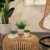 Picture of Ceramic 5" Planter with Saucer - Sand