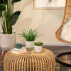 Picture of Ceramic 5" Swirly Planter with Saucer - Beige