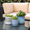 Picture of Ceramic 5" Textured Planter with Saucer - Blue