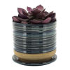 Picture of Ceramic 6" Textured Planter with Saucer