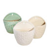 Picture of Ceramic 7" Wall Planters - Set of 3