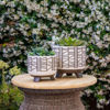 Picture of Ceramic 6" and 8" Geo Footed Planter - Set of 2 -