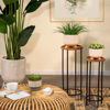 Picture of Ceramic 6" and 8" Textured Footed Planter - Set of