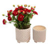 Picture of Ceramic 8" and 10" Textured Footed Planter - Set o