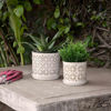 Picture of Ceramic 6" and 8" Circles Planter with Saucer - Se