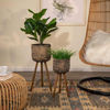 Picture of Wicker Planters 10" and 12" - Set of 2 - Natural