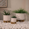Picture of Ceramic 8" Dotted Planter with Wood Stand - Ivory
