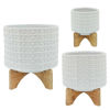 Picture of Dotted 6" Planter with Stand - White