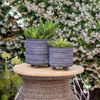 Picture of Tribal Look Footed Planter 6" and 8" - Set of 2 -