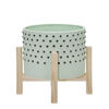 Picture of Ceramic 8" Dotted Planter with Wood Stand - Green