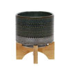 Picture of Dotted 6" Planter with Wood Stand - Green
