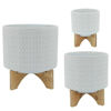 Picture of Chevron 8" Planter with Stand - White