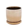Picture of Textured 5" Planter with Saucer - Gold