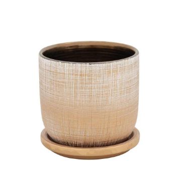 Picture of Textured 5" Planter with Saucer - Gold