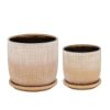 Picture of Textured 5" Planter with Saucer - Gold