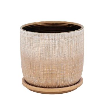 Picture of Textured 6" Planter with Saucer - Gold