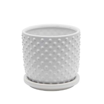 Picture of Tiny Dots 5" Planter with Saucer - White