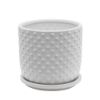 Picture of Tiny Dots 6" Planter with Saucer - White