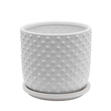 Picture of Tiny Dots 6" Planter with Saucer - White