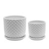 Picture of Tiny Dots 6" Planter with Saucer - White