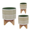 Picture of Aztec 5" Planter with Wood Stand - Olive