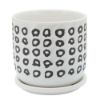 Picture of Aztec 6" Planter with Saucer - Black