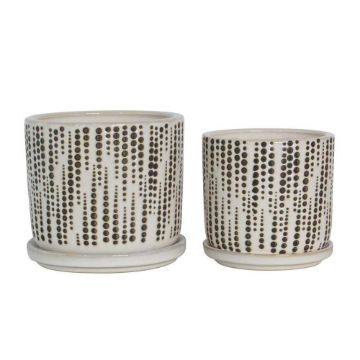 Picture of Dotted Planters with Saucer 5" and 6" - Set of 2 -
