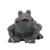 Picture of Resin 14" Frog Planter - Black