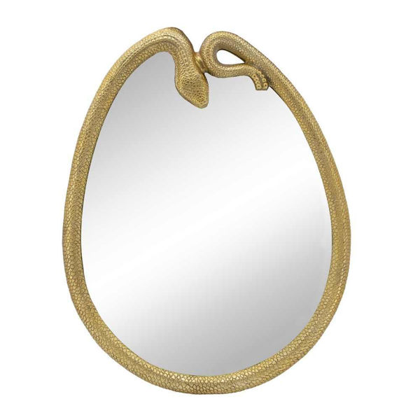 Picture of Snake 29"Accent Mirror